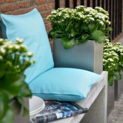 Kalanchoe 'Calandiva'®, Weiß, Topf-Ø 12 Cm, Höhe Ca. 27,5 Cm, 6er-Set -Pflanzen Geschäft 0210350168 Kalanchoe Cal weiss2