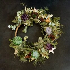 Schnittecheverien-Mix, Ø 5 Cm, 12er-Set 13 Schnittecheverien-Mix, Ø 5 Cm, 12er-Set -Pflanzen Geschäft 0250103364 Echeveria Mix 7 10cm in DIY Box 5 117175 3