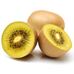 Gelbfruchtige Kiwi 'Golden Kiwi', 2er-Set, Topf 15 Cm Ø -Pflanzen Geschäft 0480960140 0480960142 Golden Kiwi 4er Set 88165