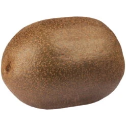 Gelbfruchtige Kiwi 'Golden Kiwi', 2er-Set, Topf 15 Cm Ø -Pflanzen Geschäft 0480960140 0480960142 Golden Kiwi 87664