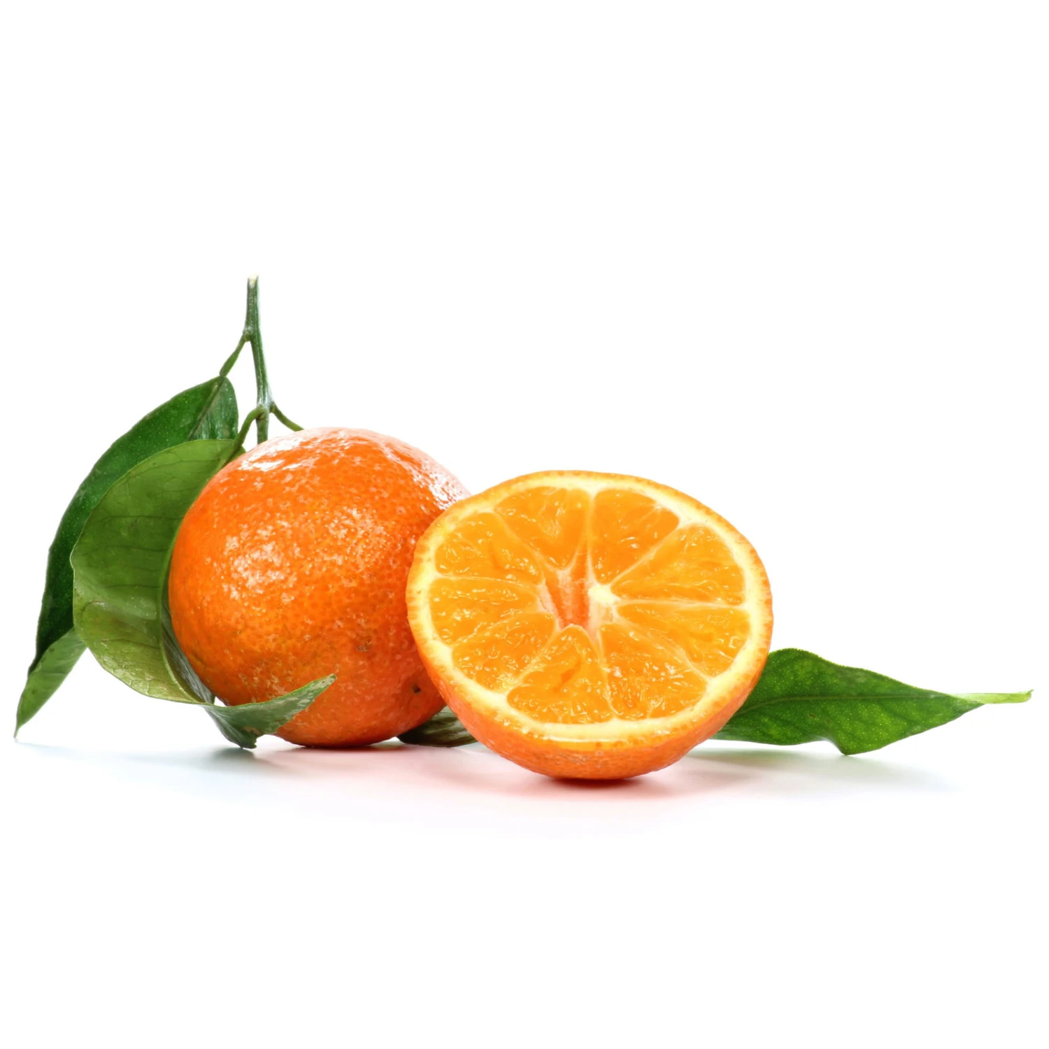 Clementine, Stamm, Topf-Ø Ca. 20 Cm, Höhe Ca. 60 Cm 5 Clementine, Stamm, Topf-Ø Ca. 20 Cm, Höhe Ca. 60 Cm – Bild 3