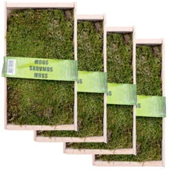 Waldmoos In Der Holzkiste, Ca. 25x13x7 Cm, 4er-Set