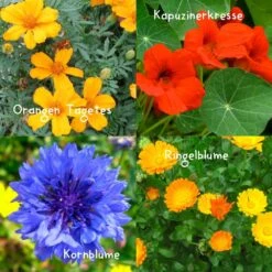 Blumensamen-Set Gourmet Blumen, Essbar, Bienenfreundlich, Dekorativ -Pflanzen Geschäft 0710403583 Blumensamen Set Gourmet Blumen 4essbare Sorten mit organ Duenger 5 60480