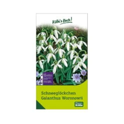 Schneeglöckchen, Galanthus Woronowii, 50 Blumenzwiebeln -Pflanzen Geschäft 0720500090 KB Schneegloeckchen Galanthus Woronowii weiss 114227