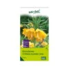Kaiserkrone (Fritillaria Imperialis Lutea) Gelb, 3 Blumenzwiebeln -Pflanzen Geschäft 0720500237 kb fritillaria imperialis lutea gelb gr 20 3 st 1 76303