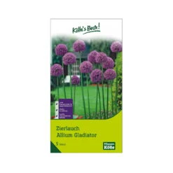Allium Gladiator (Zierlauch) Lila, 5 Blumenzwiebeln