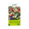 Überraschungsmischung Bauerngarten 75 Blumenzwiebeln -Pflanzen Geschäft 0720800123 kb ueberraschungsmischung bauerngarten 114240