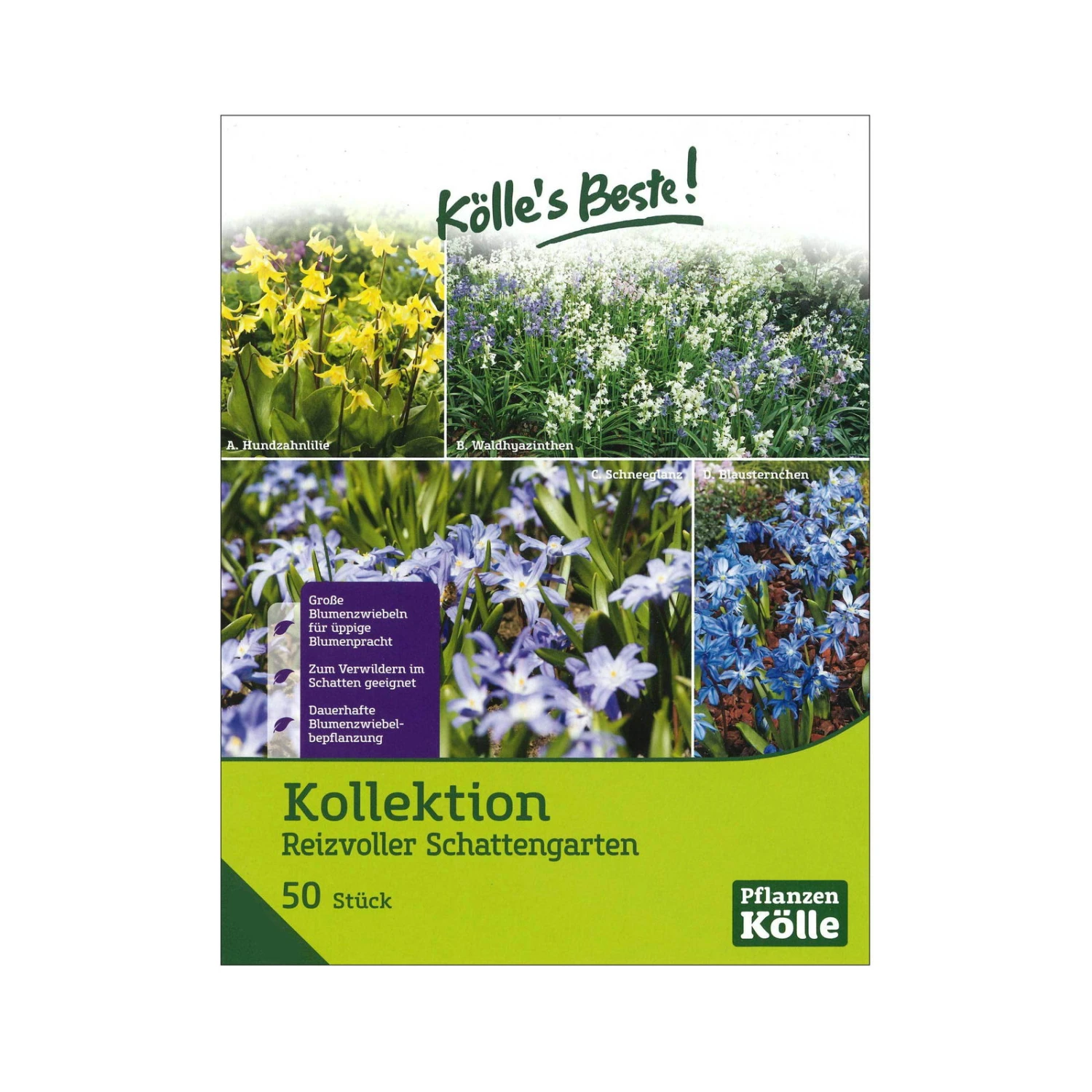 Kollektion Reizvoller Schattengarten, 50 Blumenzwiebeln 3 Kollektion Reizvoller Schattengarten, 50 Blumenzwiebeln
