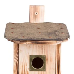 Kölle Nistkasten Für Stare Aus Fichtenholz Mit Dachpappe -Pflanzen Geschäft 0910150169 Koelle Nistkasten fuer Stare Einflugloch zoom 117807