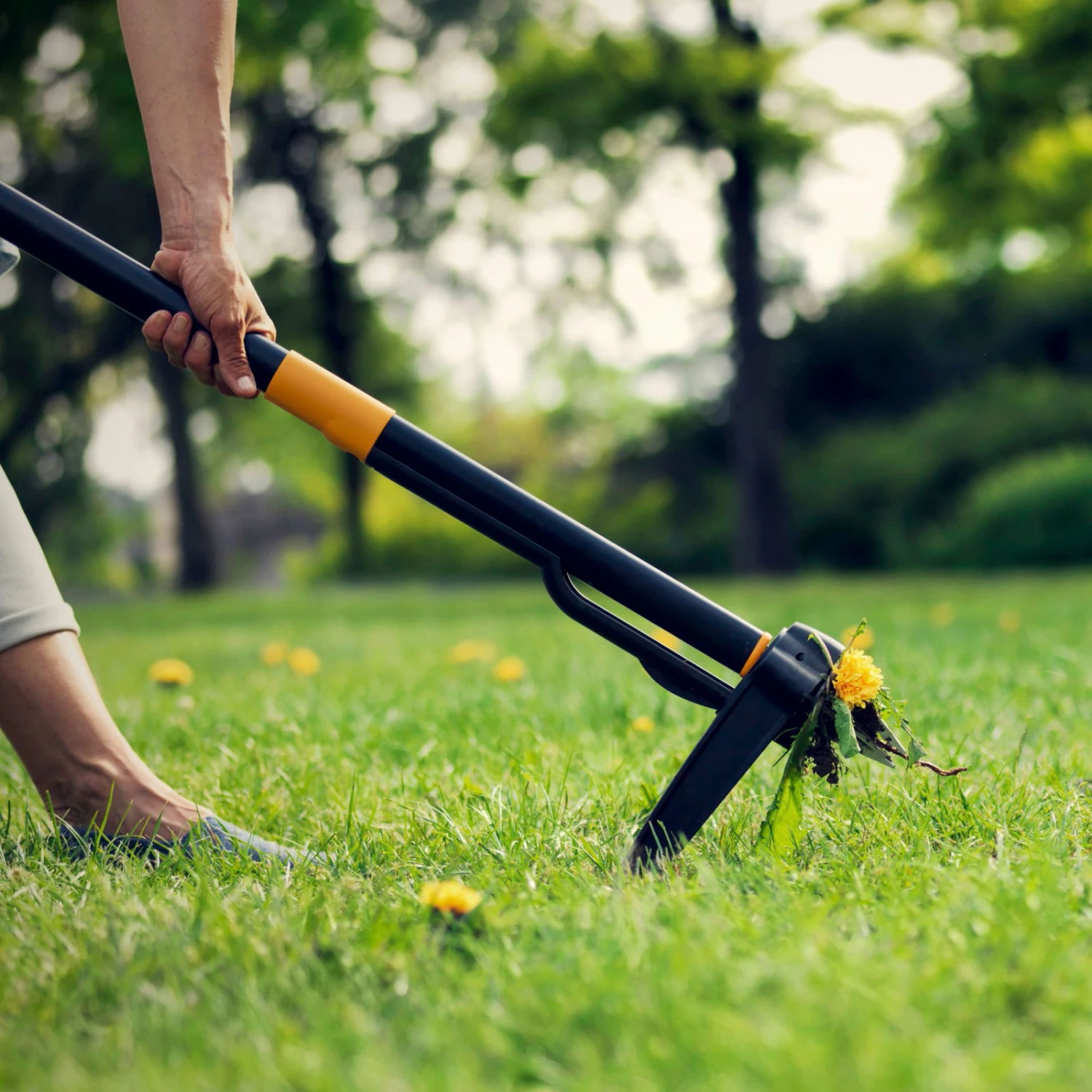 Fiskars Xact Unkrautstecher, Schwarz/orange, Länge 100 Cm 3 Fiskars Xact Unkrautstecher, Schwarz/orange, Länge 100 Cm