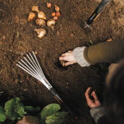 Fiskars Xact Handrechen -Pflanzen Geschäft 0920101038 Xact Handrechen 3 106709