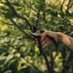 Fiskars Bypass-Schere 'Solid', Schwarz/orange -Pflanzen Geschäft 0920300708 Solid Bypass Gartenschere M 3 106803