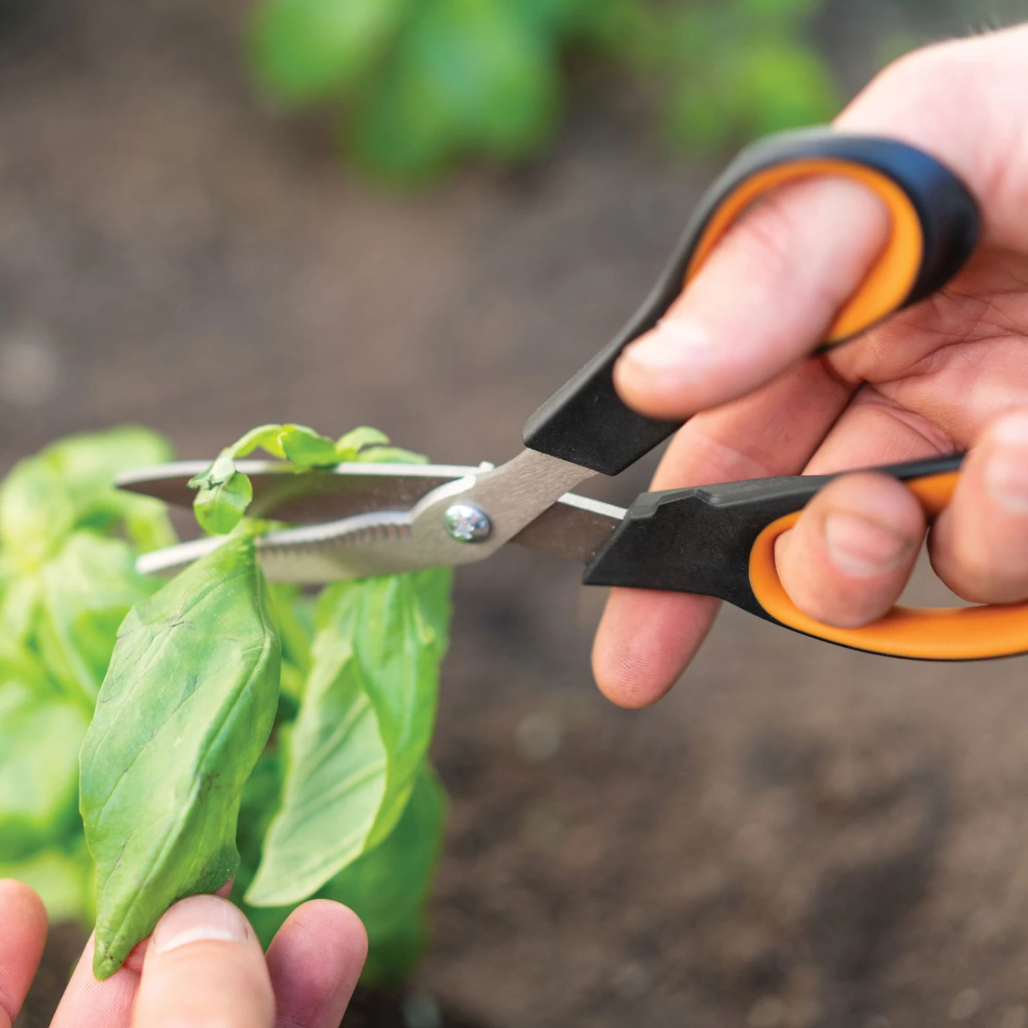Gemüseschere Solid™ SP240, Schwarz/orange, Ca. 20 X 2 X 9 Cm 3 Gemüseschere Solid™ SP240, Schwarz/orange, Ca. 20 X 2 X 9 Cm