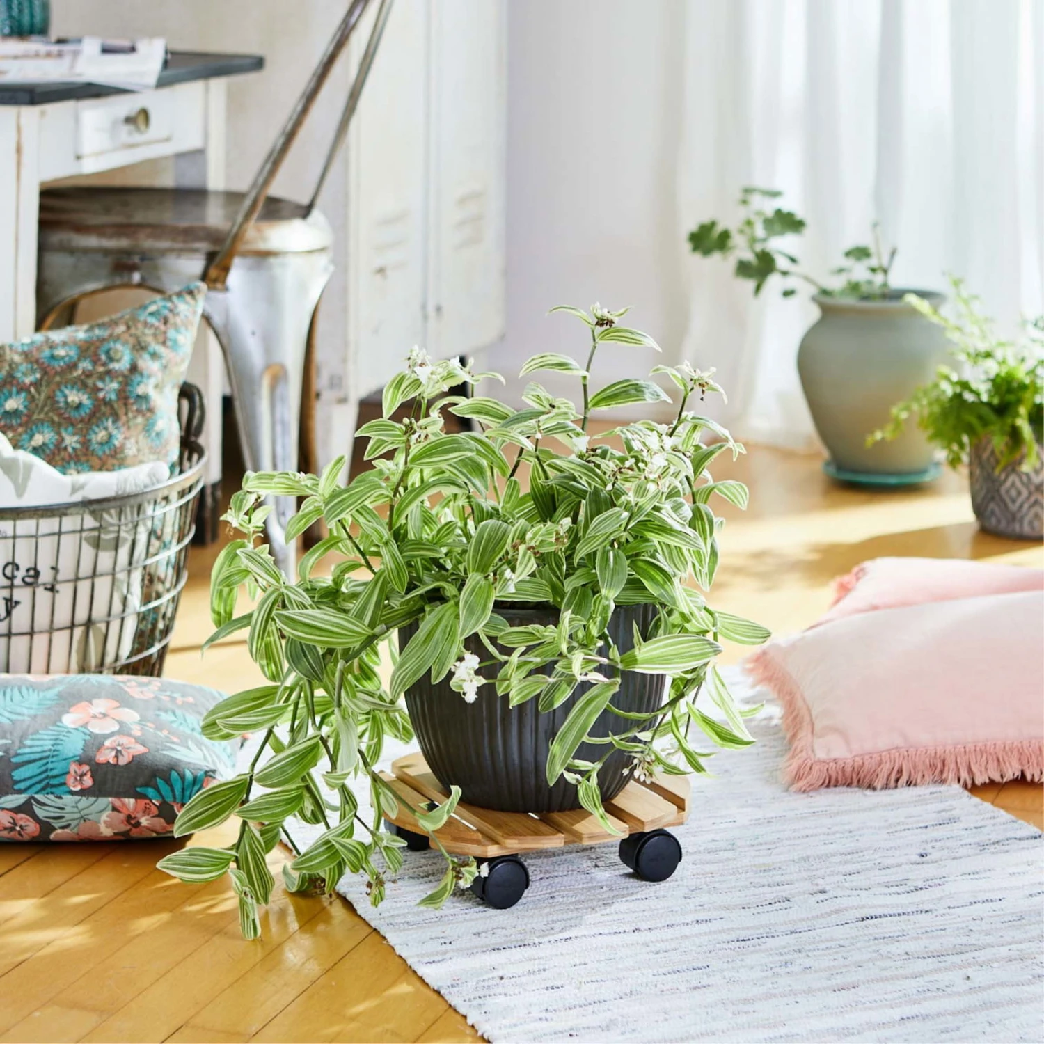 Multi Roller Bambus, 100 Kg Tragkraft, Ø 29 Cm 4 Multi Roller Bambus, 100 Kg Tragkraft, Ø 29 Cm – Bild 2