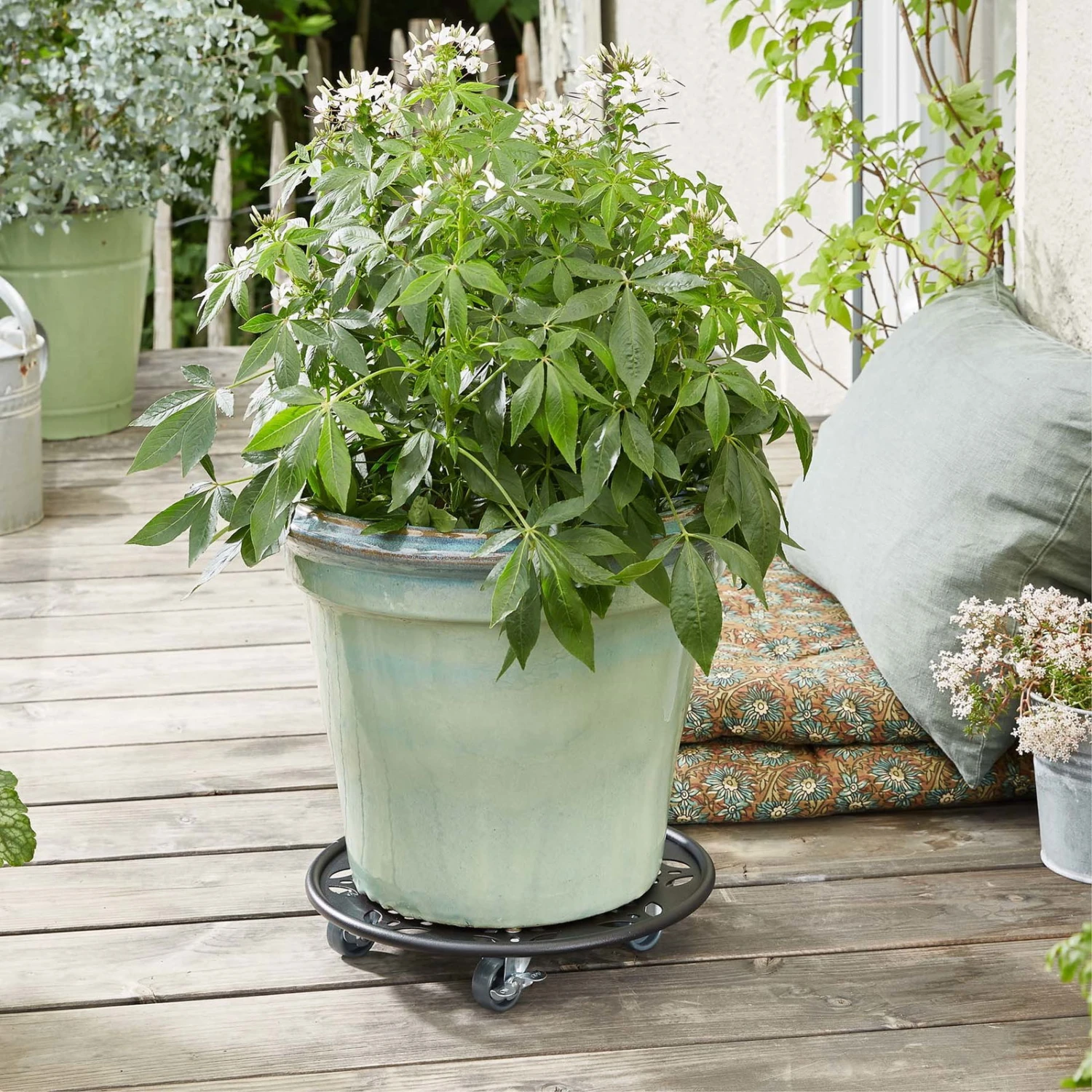 Pflanzen Geschäft -Pflanzen Geschäft 0920600520 pflanzenroller 3 116743