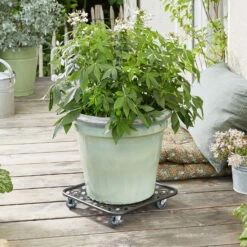 Pflanzenroller GH0936/0937, Tragkraft 80 Kg, Schwarz, Ø 30 Cm 9 Pflanzenroller GH0936/0937, Tragkraft 80 Kg, Schwarz, Ø 30 Cm -Pflanzen Geschäft 0920600521 pflanzenroller 3 116749