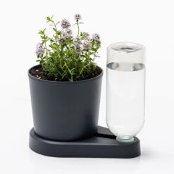 Kräuterheld, Anthrazit, PP/PET, 14 X 14 X 22 Cm 7 Kräuterheld, Anthrazit, PP/PET, 14 X 14 X 22 Cm -Pflanzen Geschäft 0930101631 Kraeuterheld anthrazit1 116321