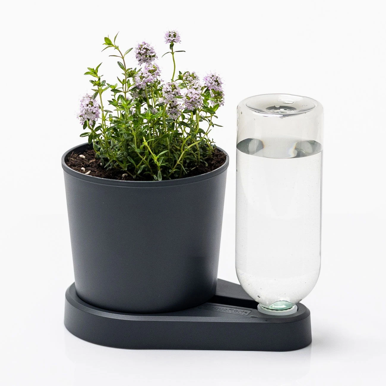 Kräuterheld, Anthrazit, PP/PET, 14 X 14 X 22 Cm 5 Kräuterheld, Anthrazit, PP/PET, 14 X 14 X 22 Cm – Bild 3