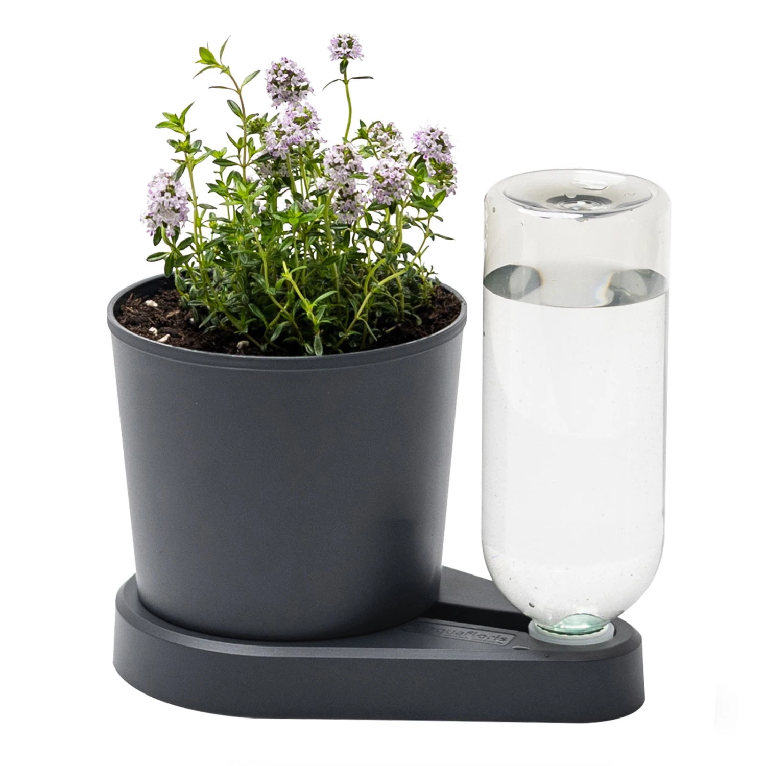 Kräuterheld, Anthrazit, PP/PET, 14 X 14 X 22 Cm 3 Kräuterheld, Anthrazit, PP/PET, 14 X 14 X 22 Cm