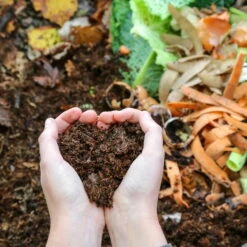 Thermokomposter DuoTherm 530 L -Pflanzen Geschäft 095010 kompost haende 126228