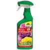 Neudorff Spruzit® AF Rosenschädlingsfrei, 500 Ml 1 Neudorff Spruzit® AF Rosenschädlingsfrei, 500 Ml -Pflanzen Geschäft 0950200581 Spruzit AF RosenSchaedlingsFrei 500ml neueVerp 48974