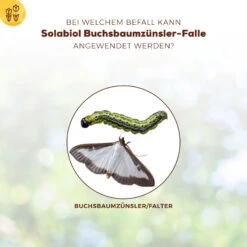 Solabiol Buchsbaumzünsler-Falle, Ausreichend Für Bis Zu 180 M² -Pflanzen Geschäft 0950200723 Buchsbaumzuensler Falle fuer bis zu 180qm Flaeche 1 107232