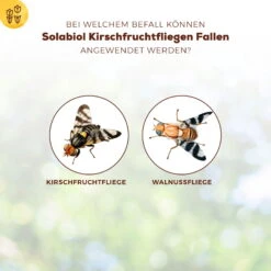 Solabiol Kirschfruchtfliegenfalle, 5er-Pack -Pflanzen Geschäft 0950200760 Solabiol Kirschfruchtfliegenfalle 5Stueck 1 107242