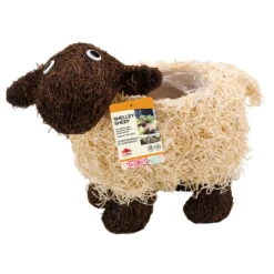 Pflanztopf 'Shelly Sheep', Ca. 26 X 35 X 15 Cm 7 Pflanztopf 'Shelly Sheep', Ca. 26 X 35 X 15 Cm -Pflanzen Geschäft 0980306618 Shelly Sheep 1 99252