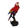 Dekofigur Papagei Am Stamm, 66 X 40 X 25 Cm -Pflanzen Geschäft 0980306786 Papagei gross am Stamm H66 x B40 x T25 cm 122178