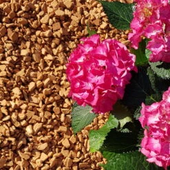 Ziegel-Granulat Granupur 4-20 Mm, 20 Liter 6 Ziegel-Granulat Granupur 4-20 Mm, 20 Liter -Pflanzen Geschäft 0990200039 Ziegelgranulat 4 20 mm 20L 1 102260