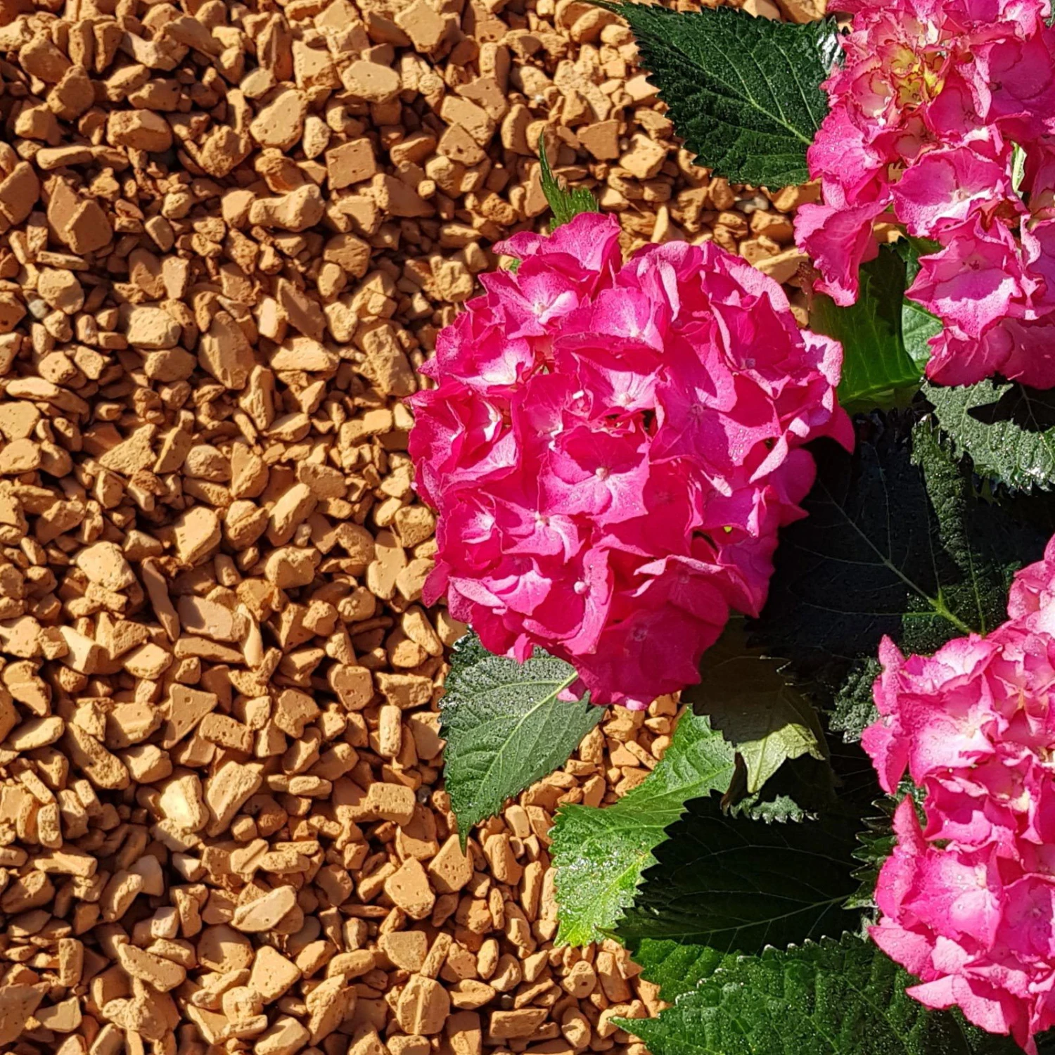 Ziegel-Granulat Granupur 4-20 Mm, 20 Liter 4 Ziegel-Granulat Granupur 4-20 Mm, 20 Liter – Bild 2