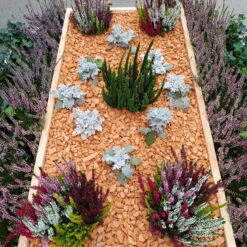 Ziegel-Granulat Granupur 4-20 Mm, 20 Liter 7 Ziegel-Granulat Granupur 4-20 Mm, 20 Liter -Pflanzen Geschäft 0990200039 Ziegelgranulat 4 20 mm 20L 3 102262