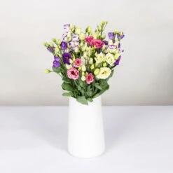 Gemischter Blumenbund 'Lisianthus' Inkl. Gratis Grußkarte -Pflanzen Geschäft 1015700001 Lisianthus Mix 10er Bund weiss blau rosa WS 2 94400