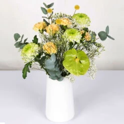 Gemischter Blumenbund 'Grüne Schönheit' Inkl. Gratis Grußkarte 7 Gemischter Blumenbund 'Grüne Schönheit' Inkl. Gratis Grußkarte -Pflanzen Geschäft 1025700013 DIY Mixbund Gruene Schoenheit Nelke Zembla Crasp Euka Gypso Stat Anth 1 94427