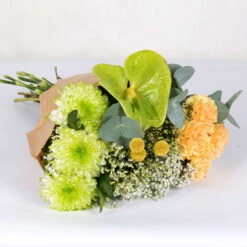 Gemischter Blumenbund 'Grüne Schönheit' Inkl. Gratis Grußkarte 6 Gemischter Blumenbund 'Grüne Schönheit' Inkl. Gratis Grußkarte -Pflanzen Geschäft 1025700013 DIY Mixbund Gruene Schoenheit Nelke Zembla Crasp Euka Gypso Stat Anth 2 94426