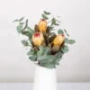 Blumenbund Protea & Eukalyptus, Inkl. Gratis Grußkarte -Pflanzen Geschäft 1025700019 Strauss Protea Grandiflora 1 1 101680