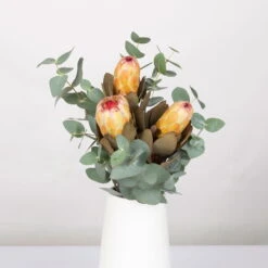 Blumenbund Protea & Eukalyptus, Inkl. Gratis Grußkarte