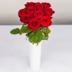 Blumenbund Mit Rosen 'Red Naomi', 10er-Bund, Rot, Inkl. Gratis Grußkarte -Pflanzen Geschäft 1045500002 Rose Red Naomi 10er Bund 60cm 2 85333