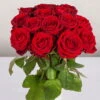 Blumenbund Mit Rosen 'Red Naomi', 15er-Bund, Rot, Inkl. Gratis Grußkarte -Pflanzen Geschäft 1045500003 Rose Red Naomi 15er Bund 60cm 2 1 d 100188