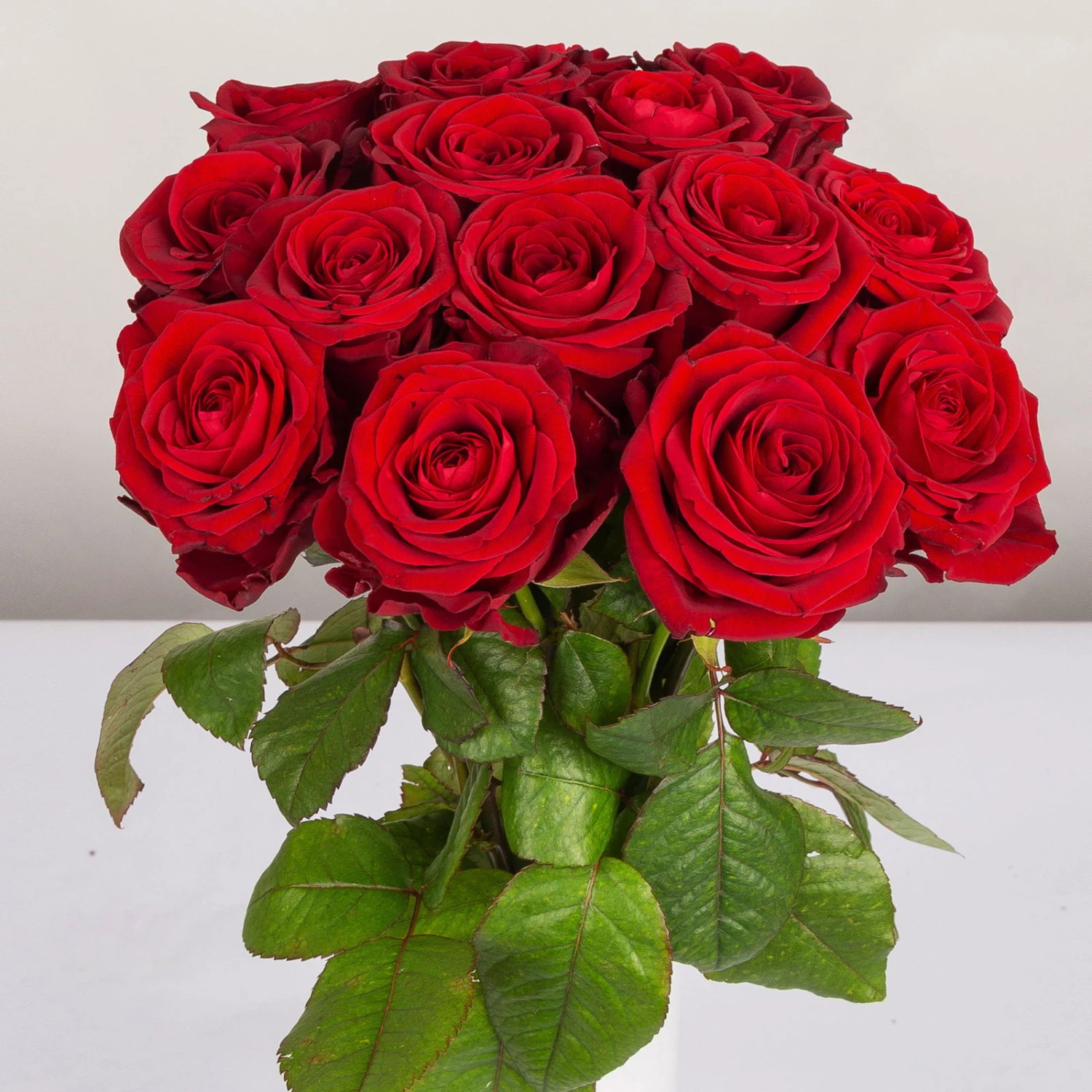 Blumenbund Mit Rosen 'Red Naomi', 15er-Bund, Rot, Inkl. Gratis Grußkarte 3 Blumenbund Mit Rosen 'Red Naomi', 15er-Bund, Rot, Inkl. Gratis Grußkarte