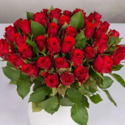 Blumenbund Mit Rosen, 40er-Bund, Rot, Inkl. Gratis Grußkarte -Pflanzen Geschäft 1045500009 Rote Rose 40er Bund 40cm 2 1 d 100193