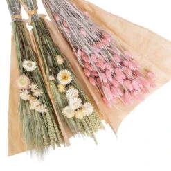 Weißer Trockenstrauß & Rosa Glanzgras, 3er-Set, Länge Ca. 55 - 70 Cm -Pflanzen Geschäft 1055300004 Trockenstrauss weiss Phalaris rosa 2 83166