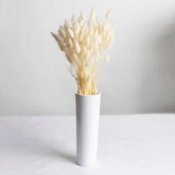 Samtgras Im Bund, Gebleicht Und Getrocknet, Ca. 65 Cm -Pflanzen Geschäft 1055300010 Lagurus gebleicht 2 89168