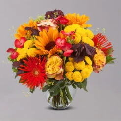 Blumenstrauß 'Sommerabend' Inkl. Gratis Grußkarte -Pflanzen Geschäft 1110600041 Sommer Orange grau 103419