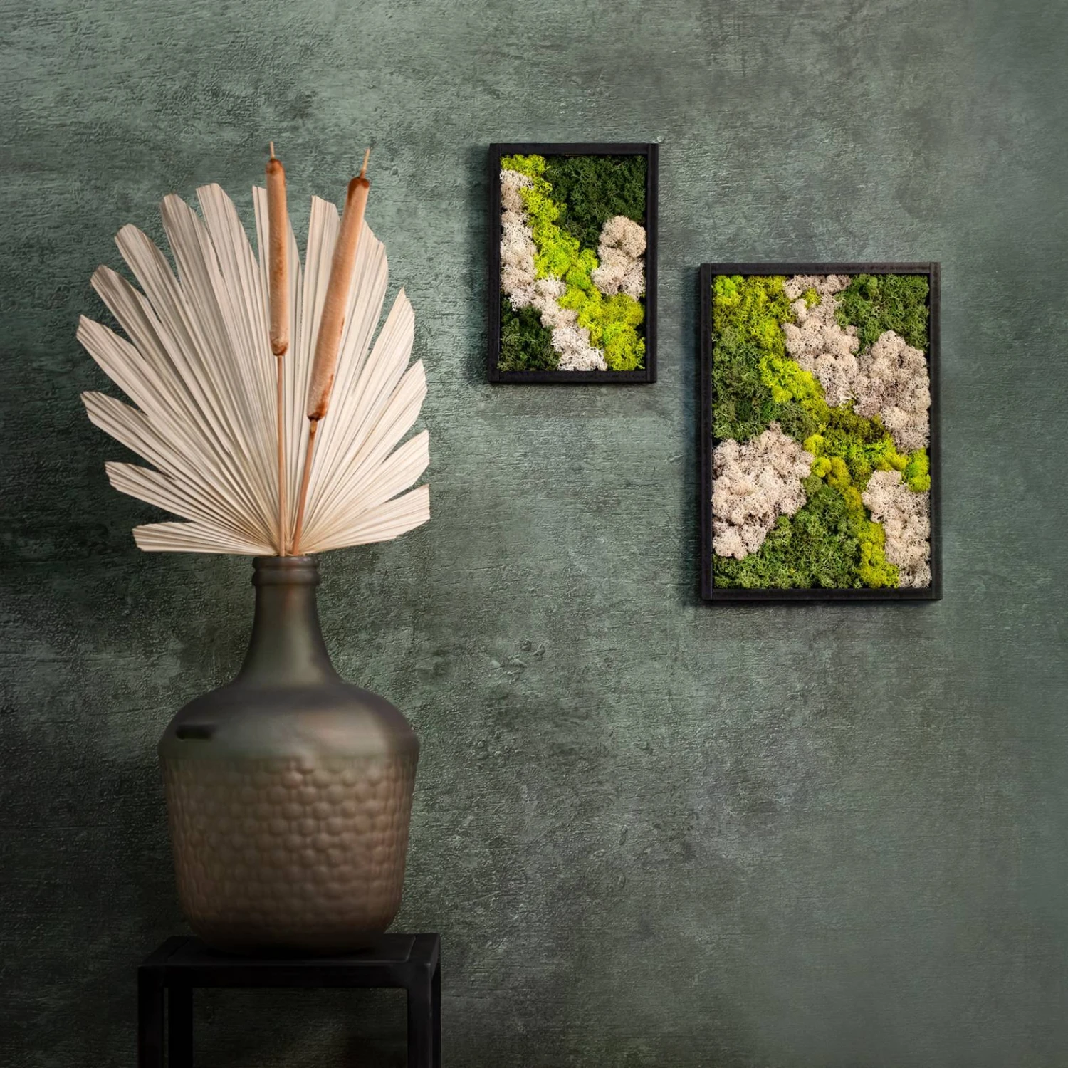 Eckiges Moosbild Mit Schwarzem Rahmen, Klein, 24 X 17 Cm 3 Eckiges Moosbild Mit Schwarzem Rahmen, Klein, 24 X 17 Cm