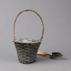 Chrysantheme Bronze Im Henkelkorb, Topf-Ø 19 Cm 13 Chrysantheme Bronze Im Henkelkorb, Topf-Ø 19 Cm -Pflanzen Geschäft 1530200290 291 292 293 294 Chrysanthemum im Henkelkorb 19 21 1 126587