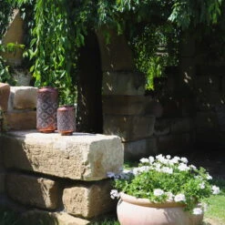 Kölle LED-Solarlaterne Adana, Gold Matt, Höhe 26 Cm, Ø 16 Cm -Pflanzen Geschäft 2950100472 2950100469 Adana 1 113714