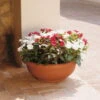 Euro 3 Plast Pflanzschale Olimpo Terra -Pflanzen Geschäft 3210100223 Pflanzschale Olimpo terra 60cm Erdvol 38Ltr 34297