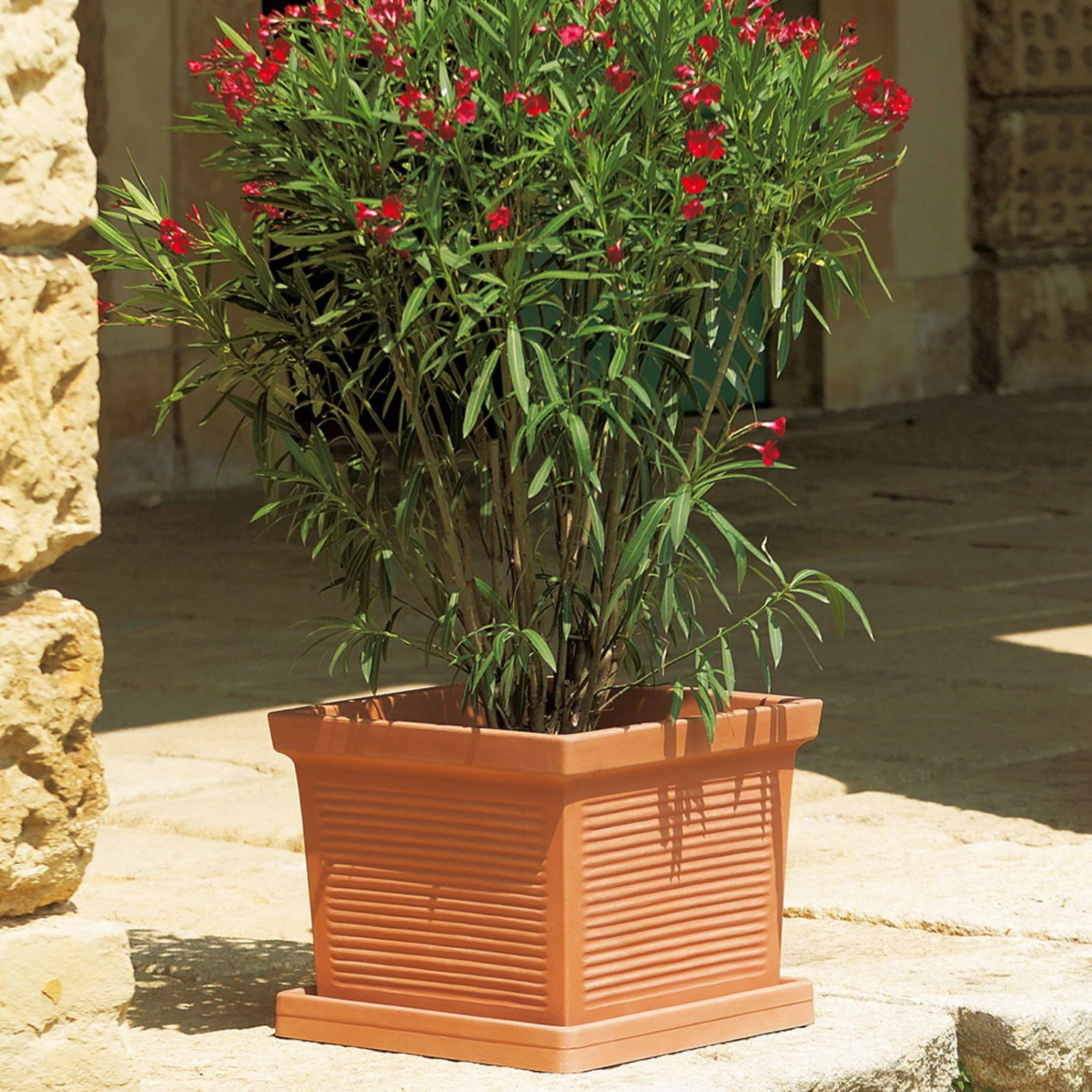 Euro 3 Plast Pflanzkübel Millerighe Terra 3 Euro 3 Plast Pflanzkübel Millerighe Terra