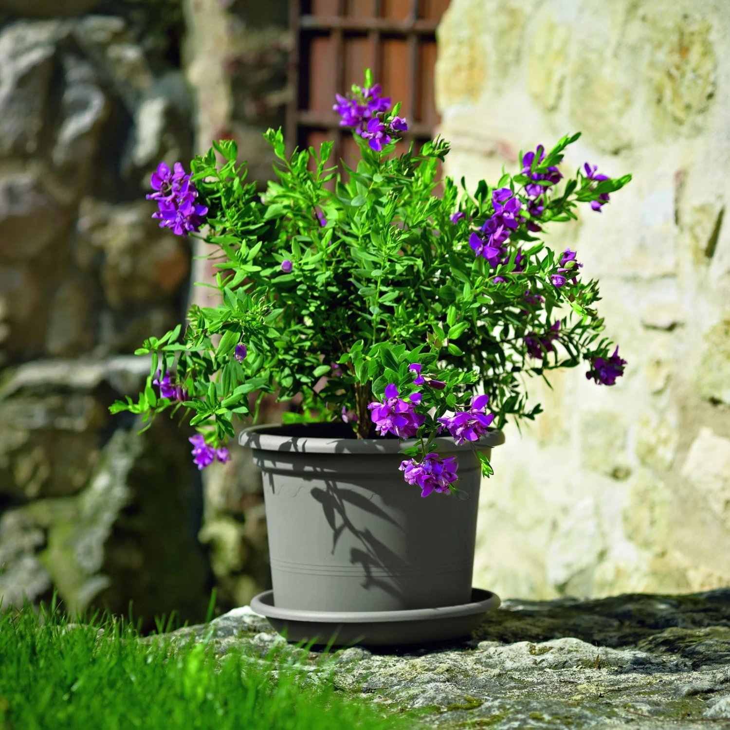 Pflanzen Geschäft -Pflanzen Geschäft 3210102304 Pflanzkuebel Geo taupe 60cm Erdvol 78 4Ltr 34363